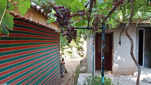 Yorum fotoğrafı 6