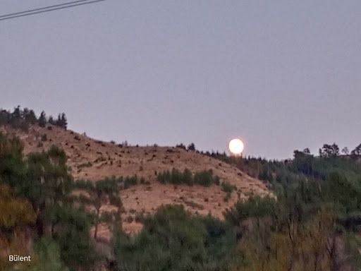 Yorum fotoğrafı 6