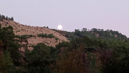 Yorum fotoğrafı 7