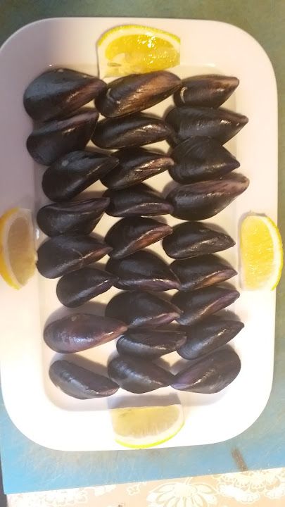 Fotoğraf 16