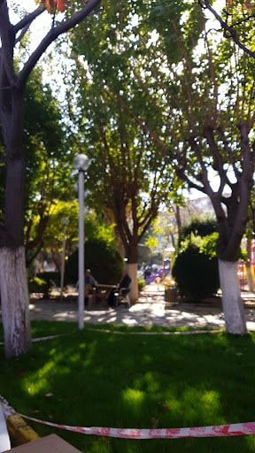 Fotoğraf 10