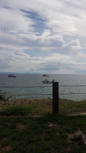 Fotoğraf 14