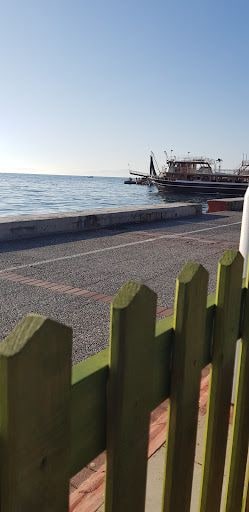 Fotoğraf 15
