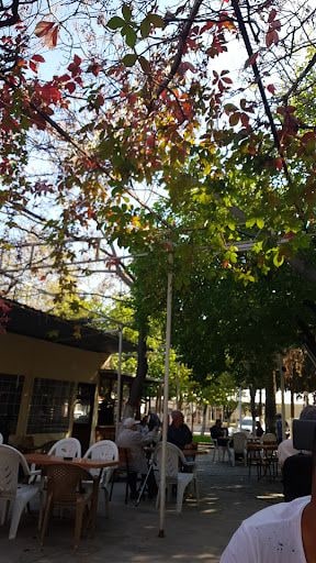 Fotoğraf 13