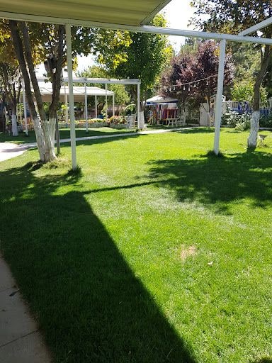 Yorum fotoğrafı 5