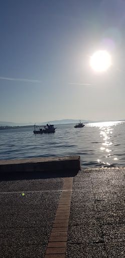 Fotoğraf 19
