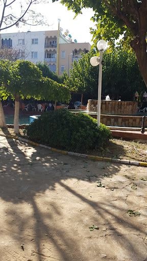 Fotoğraf 15