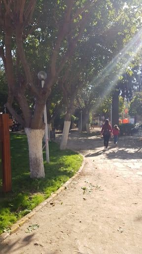 Fotoğraf 16