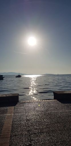 Fotoğraf 20