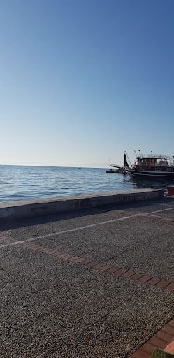 Fotoğraf 21