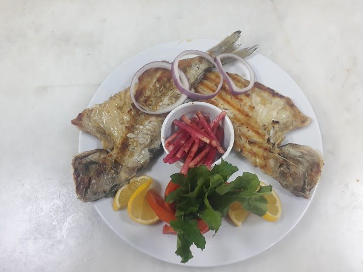 Fotoğraf 16