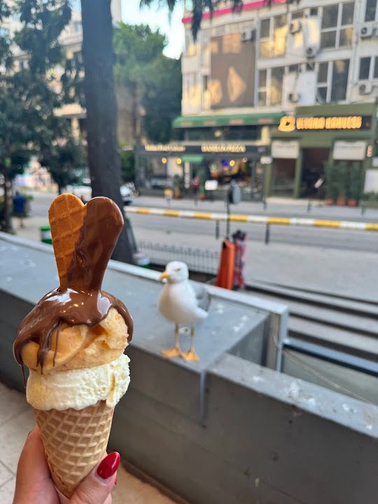 Yorum fotoğrafı 3