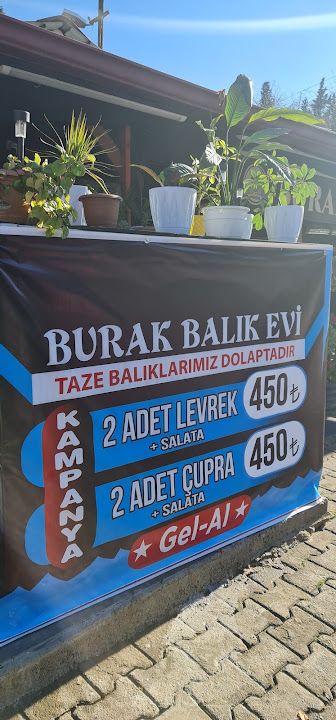 Fotoğraf 19