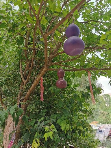 Yorum fotoğrafı 8
