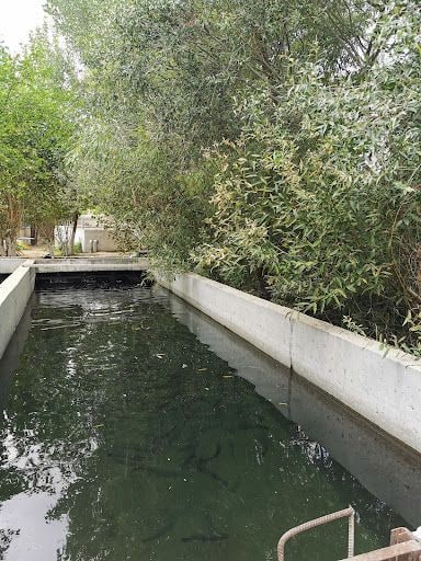 Yorum fotoğrafı 9