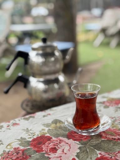 Yorum fotoğrafı 7