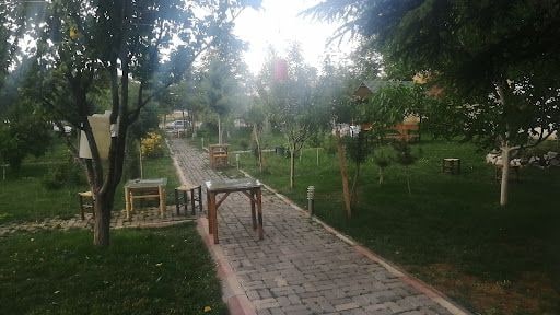 Yorum fotoğrafı 4