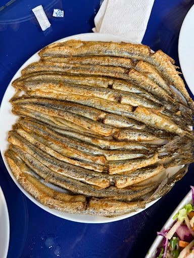 Fotoğraf 21