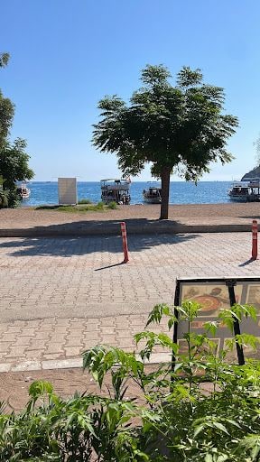 Fotoğraf 17