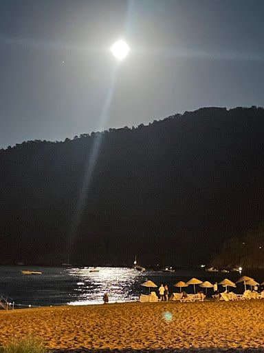 Fotoğraf 19