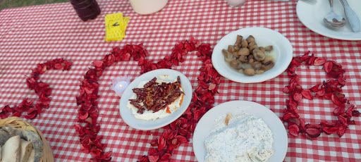 Fotoğraf 24