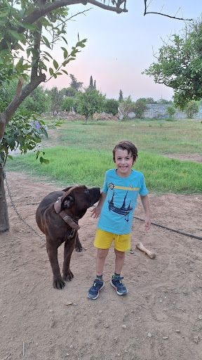 Yorum fotoğrafı 5