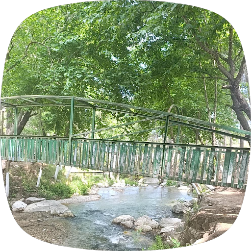 Yorum fotoğrafı 6
