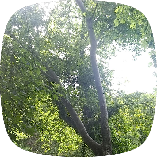Yorum fotoğrafı 8