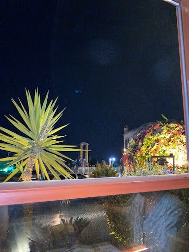 Fotoğraf 15