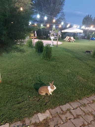 Yorum fotoğrafı 7
