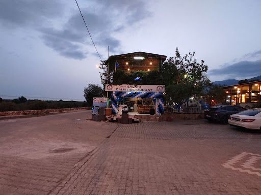 Fotoğraf 14