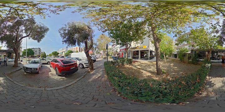 Fotoğraf 15