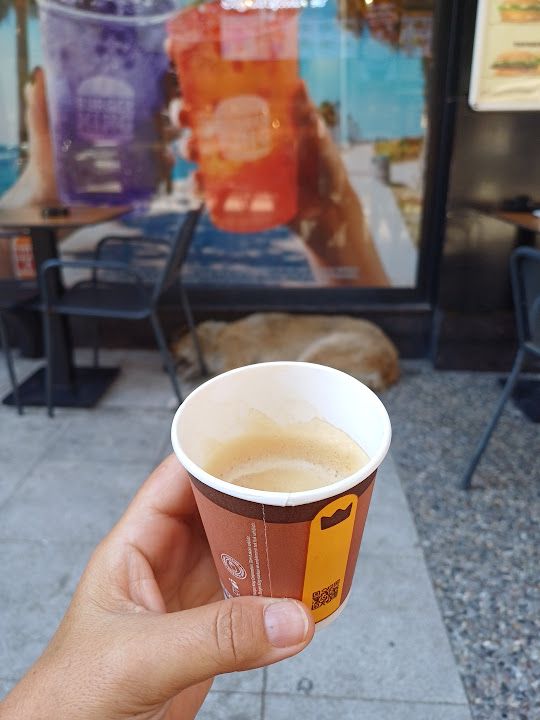 Fotoğraf 17