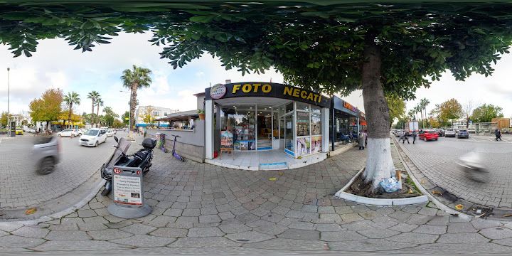 Fotoğraf 15