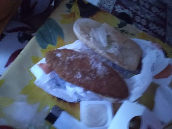 Fotoğraf 29