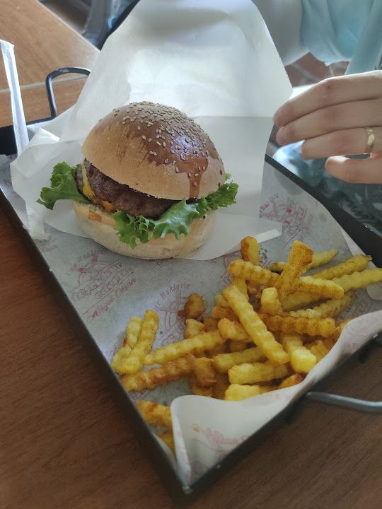 Fotoğraf 12