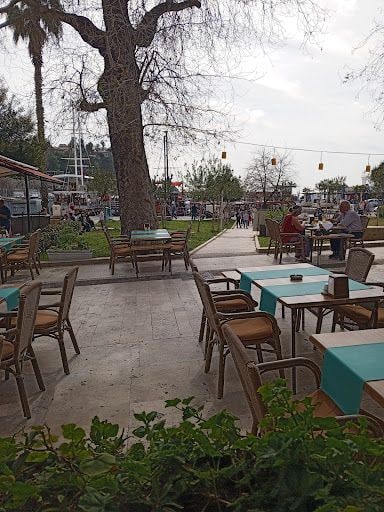 Fotoğraf 11