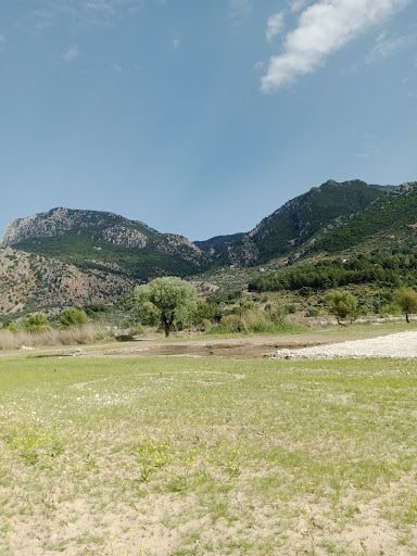 Yorum fotoğrafı 4