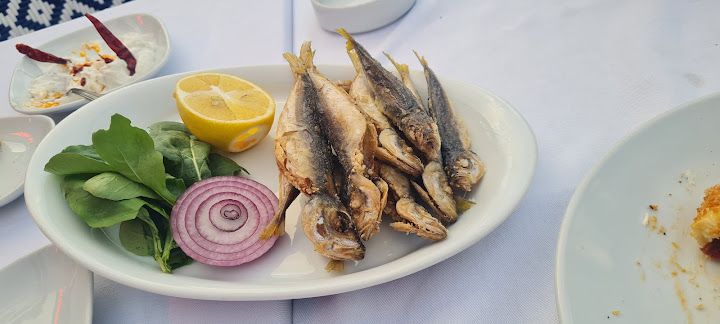 Fotoğraf 31