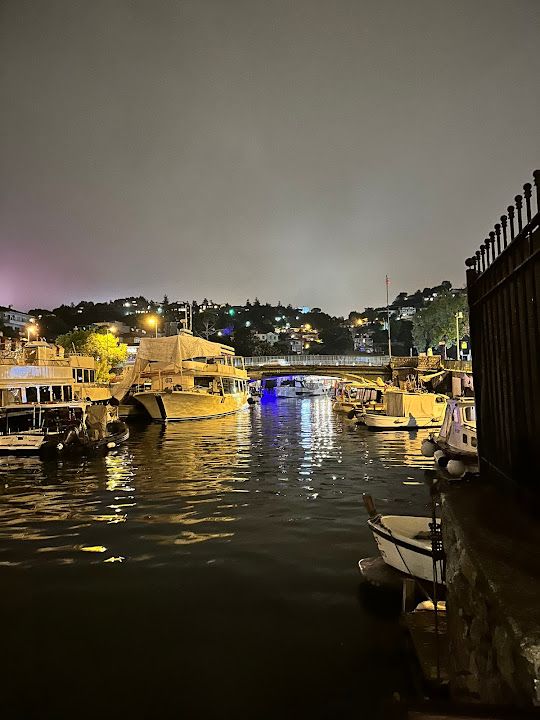 Fotoğraf 60