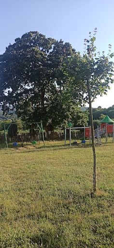 Fotoğraf 40
