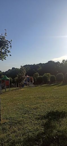 Fotoğraf 41