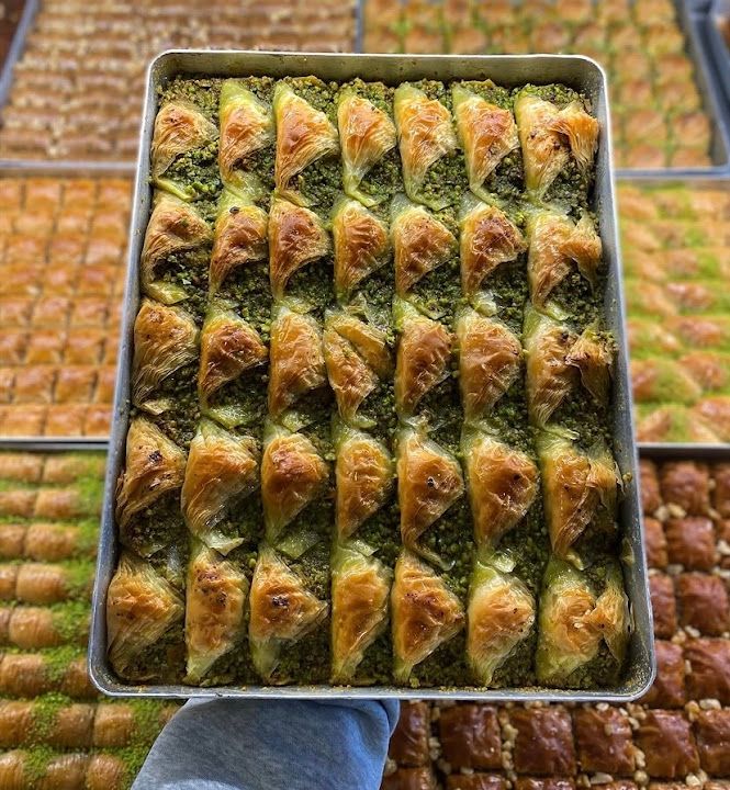 Fotoğraf 13