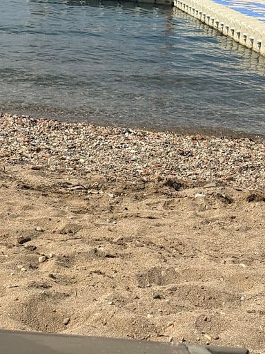 Fotoğraf 16