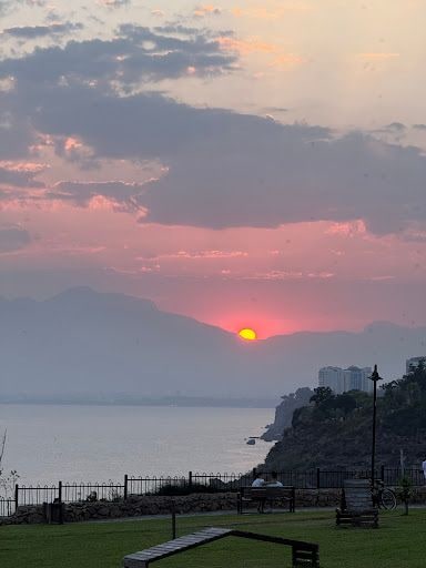 Fotoğraf 15