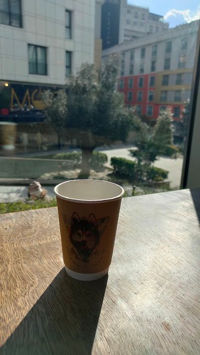Fotoğraf 27