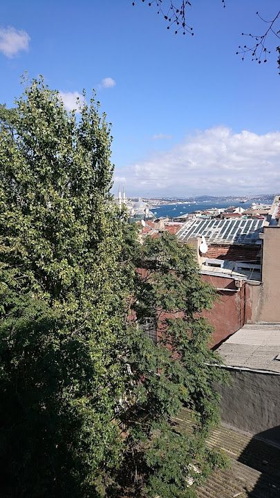 Fotoğraf 43
