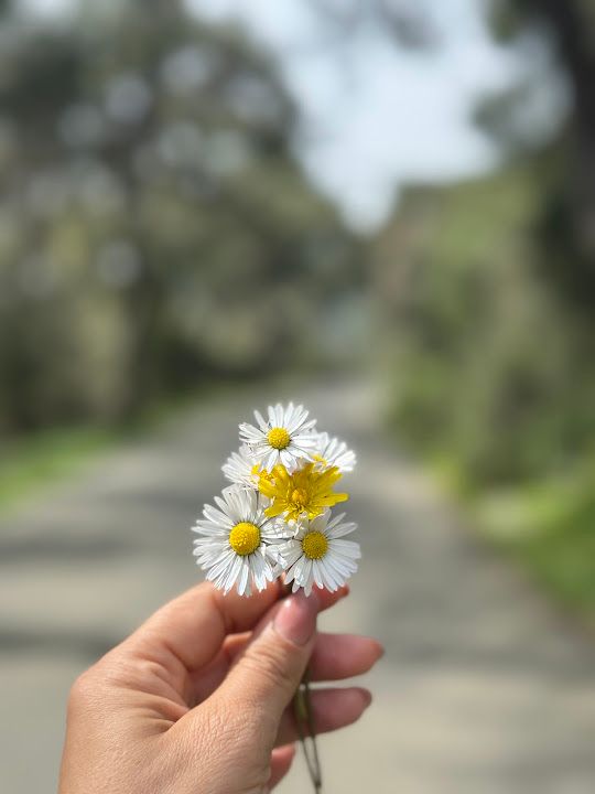 Fotoğraf 48