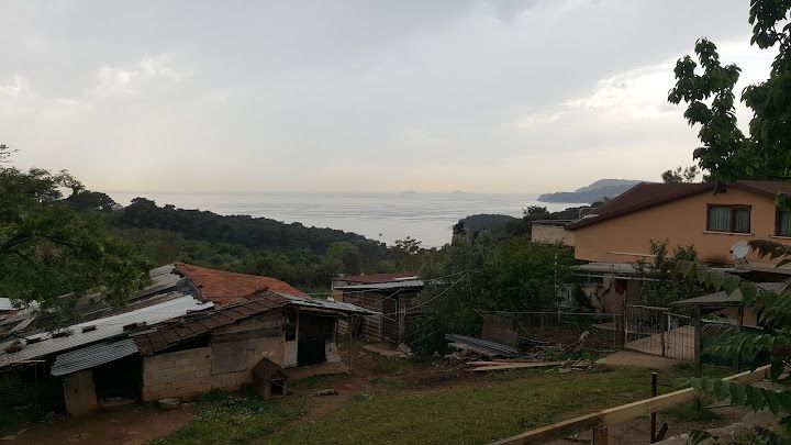 Fotoğraf 33