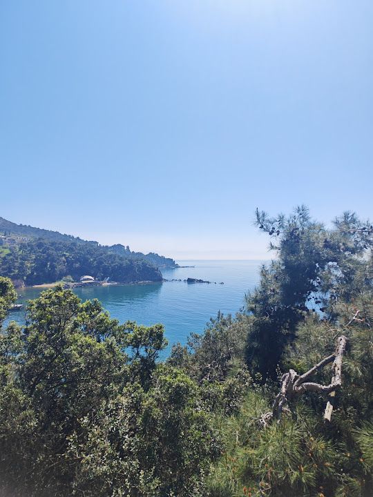 Fotoğraf 31